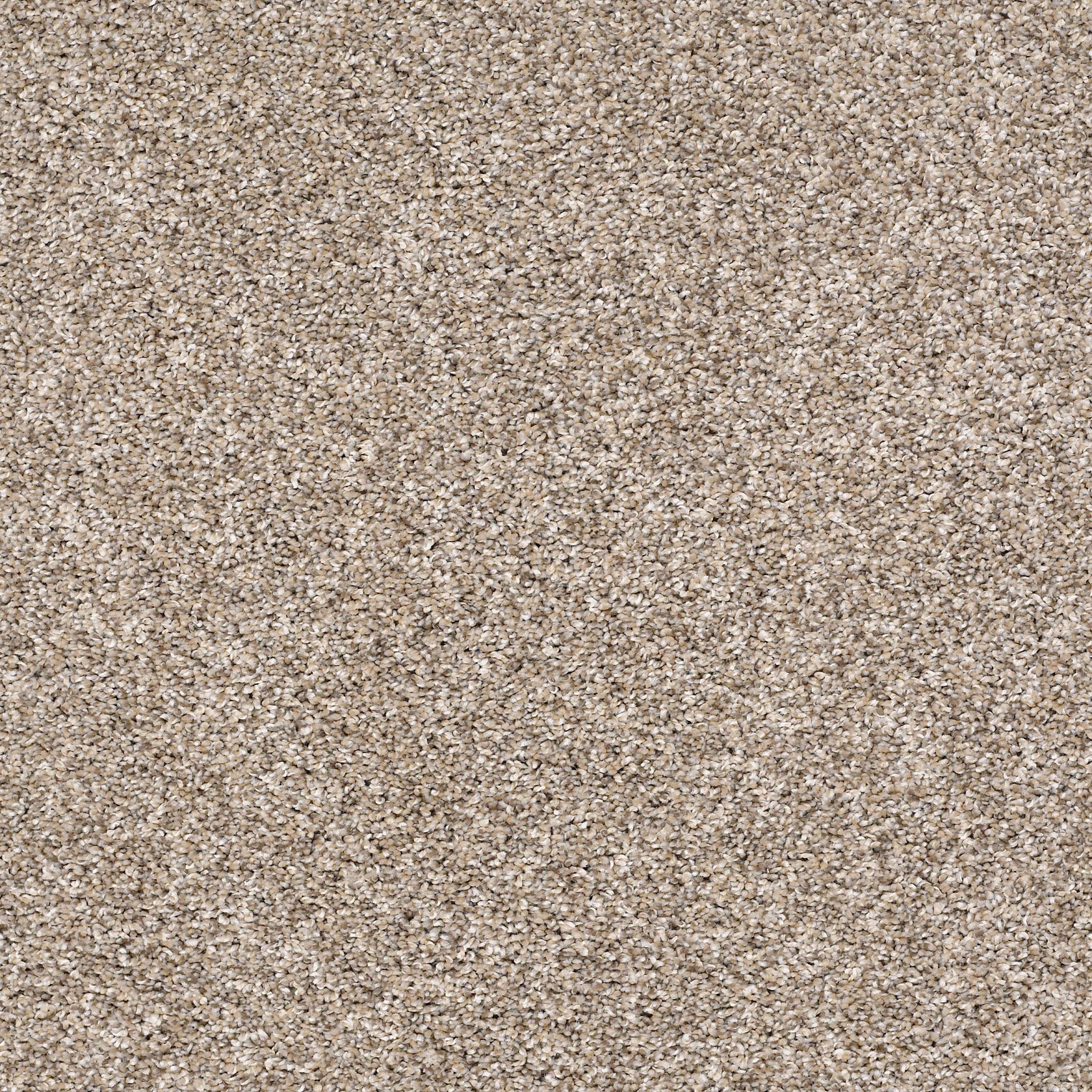 SHAW INDUSTRIES CHALET PISTE <br> <div class="sale-page-original-price">SqFt Price: $1.86</div> <div class="sale-page-clearance-price">Clearance Price: $0.49</div> <div class="sale-page-addtl-notes"></div> <div class="sale-page-addtl-notes">Total Sq. Ft. Available: 210.96</div> <div class="sale-page-addtl-notes"></div> <div class="sale-page-addtl-notes">NEUTRAL GROUND</div>